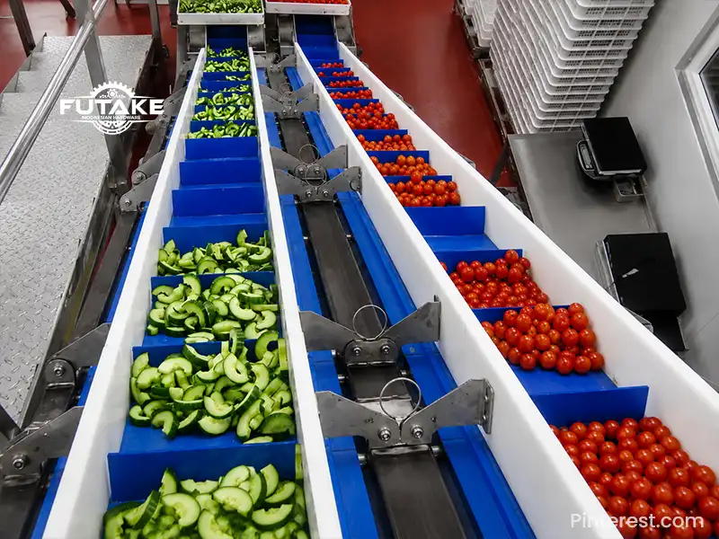 gambar modular conveyor